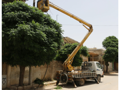 إدلب  (982)