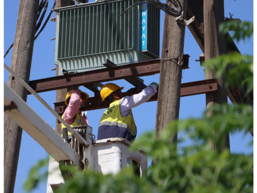 إدلب  (1952)