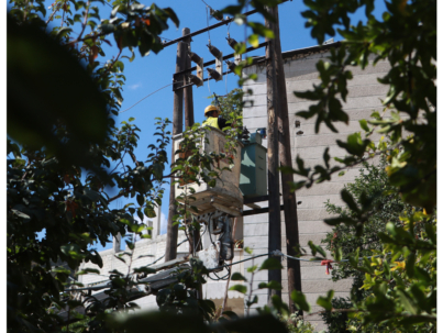 IMG_20241020_175925_235