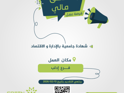 مدقق-مالي