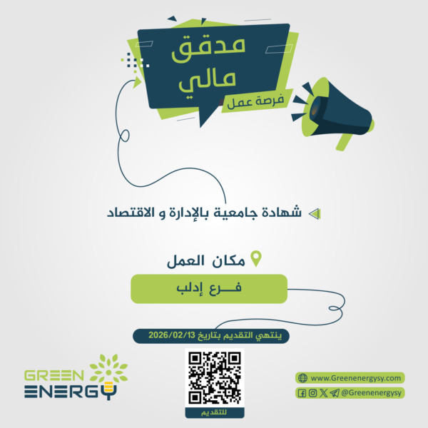 مدقق-مالي